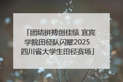团结拼搏创佳绩 宜宾学院田径队闪耀2025四川省大学生田径赛场