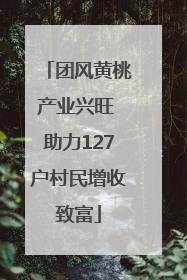 团风黄桃产业兴旺 助力127户村民增收致富