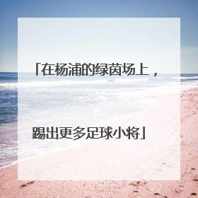 在杨浦的绿茵场上，踢出更多足球小将