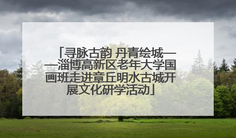 寻脉古韵 丹青绘城——淄博高新区老年大学国画班走进章丘明水古城开展文化研学活动
