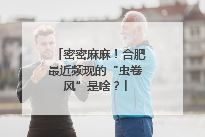 密密麻麻！合肥最近频现的“虫卷风”是啥？