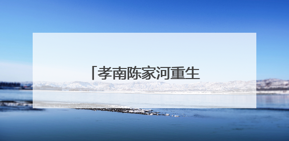 孝南陈家河重生记：一条“幸福河”的生态蝶变