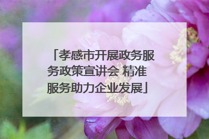 孝感市开展政务服务政策宣讲会 精准服务助力企业发展