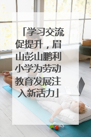 学习交流促提升，眉山彭山鹏利小学为劳动教育发展注入新活力