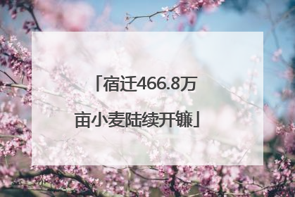宿迁466.8万亩小麦陆续开镰