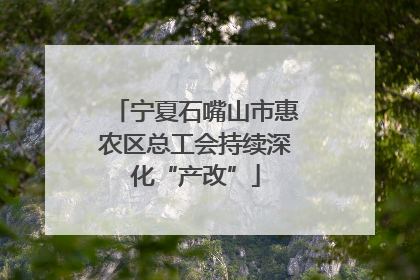 宁夏石嘴山市惠农区总工会持续深化“产改”