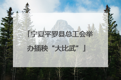宁夏平罗县总工会举办插秧“大比武”