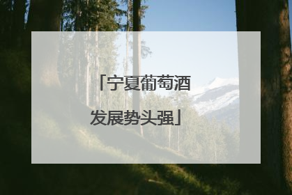 宁夏葡萄酒发展势头强