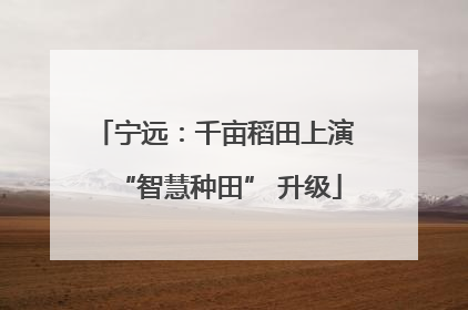 宁远：千亩稻田上演 “智慧种田” 升级
