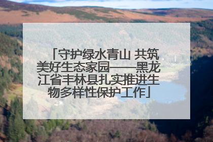 守护绿水青山 共筑美好生态家园——黑龙江省丰林县扎实推进生物多样性保护工作