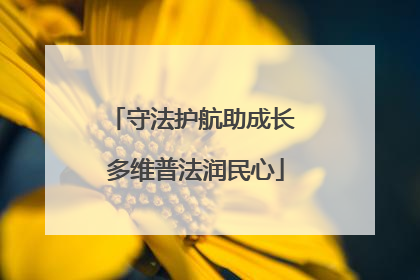 守法护航助成长 多维普法润民心