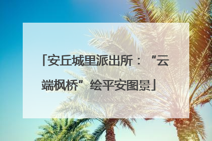 安丘城里派出所：“云端枫桥”绘平安图景