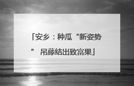 安乡：种瓜“新姿势” 吊藤结出致富果