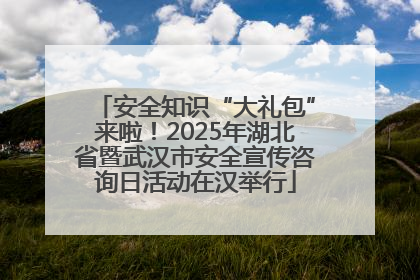 安全知识“大礼包”来啦！2025年湖北省暨武汉市安全宣传咨询日活动在汉举行