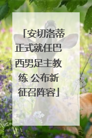 安切洛蒂正式就任巴西男足主教练 公布新征召阵容
