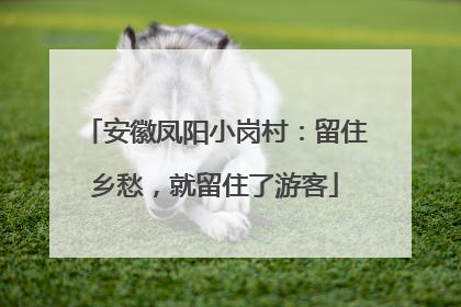 安徽凤阳小岗村：留住乡愁，就留住了游客