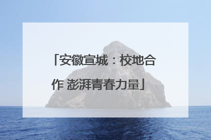 安徽宣城：校地合作 澎湃青春力量