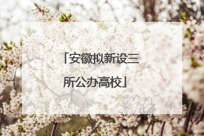 安徽拟新设三所公办高校
