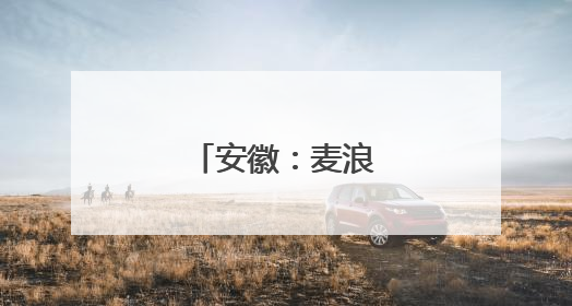 安徽：麦浪飘香收获忙