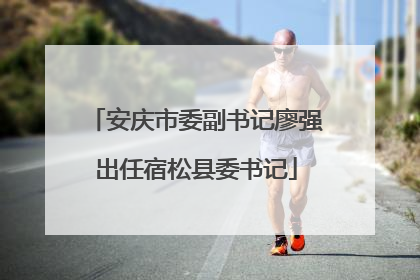 安庆市委副书记廖强出任宿松县委书记