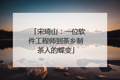 宋琦山：一位软件工程师到茶乡制茶人的蝶变