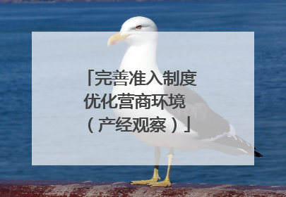 完善准入制度 优化营商环境（产经观察）