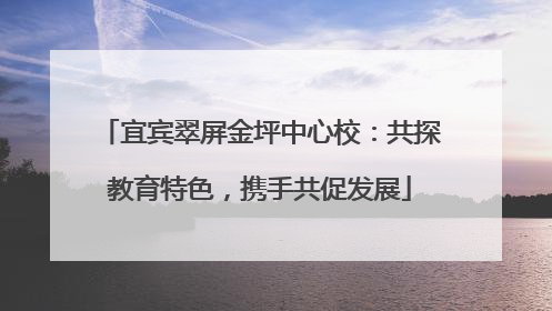 宜宾翠屏金坪中心校：共探教育特色，携手共促发展