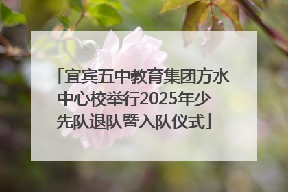 宜宾五中教育集团方水中心校举行2025年少先队退队暨入队仪式