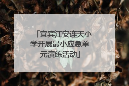 宜宾江安连天小学开展最小应急单元演练活动