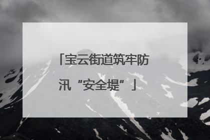 宝云街道筑牢防汛“安全堤”