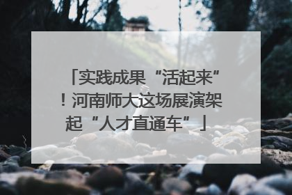 实践成果“活起来”！河南师大这场展演架起“人才直通车”