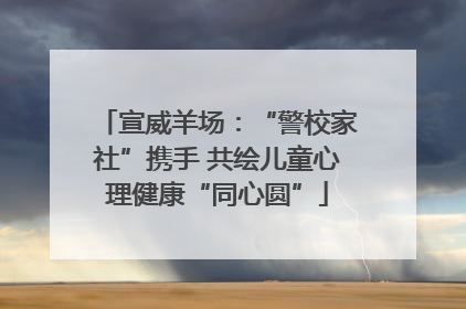 宣威羊场：“警校家社”携手 共绘儿童心理健康“同心圆”