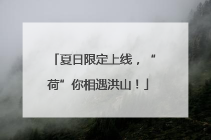夏日限定上线，“荷”你相遇洪山！