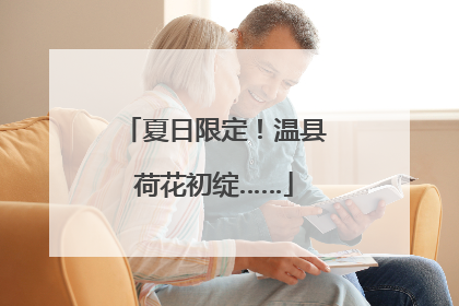 夏日限定！温县荷花初绽……