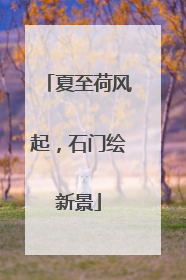夏至荷风起，石门绘新景