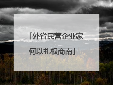 外省民营企业家何以扎根商南