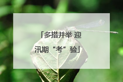 多措并举 迎汛期“考”验