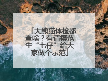 大熊猫体检都查啥？有请模范生“七仔”给大家做个示范