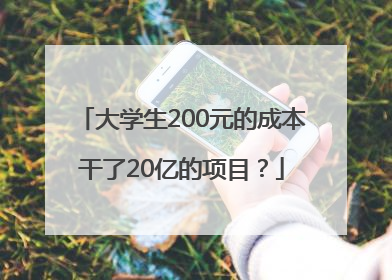 大学生200元的成本干了20亿的项目？