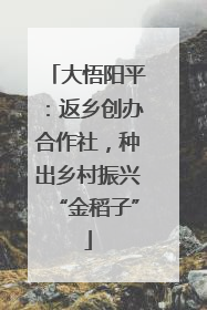 大悟阳平：返乡创办合作社，种出乡村振兴“金稻子”