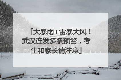 大暴雨+雷暴大风！武汉连发多条预警，考生和家长请注意