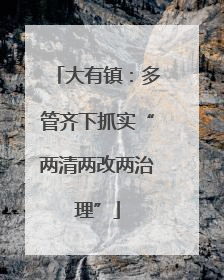 大有镇：多管齐下抓实“两清两改两治理”
