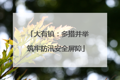 大有镇：多措并举筑牢防汛安全屏障