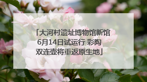 大河村遗址博物馆新馆6月14日试运行 彩陶双连壶将重返原生地