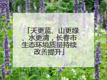天更蓝、山更绿、水更清，长春市生态环境质量持续改善提升
