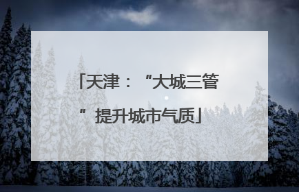 天津：“大城三管”提升城市气质
