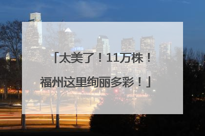太美了！11万株！福州这里绚丽多彩！