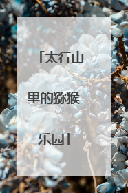 太行山里的猕猴乐园