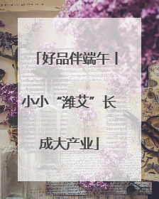 好品伴端午丨小小“潍艾”长成大产业