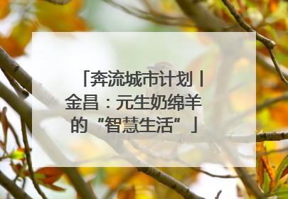 奔流城市计划丨金昌：元生奶绵羊的“智慧生活”